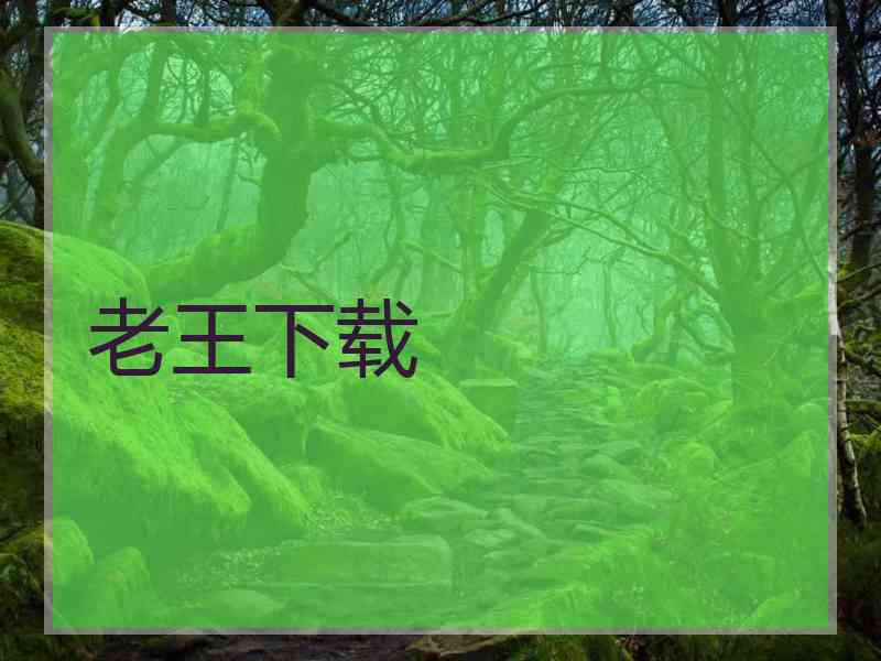 老王下载