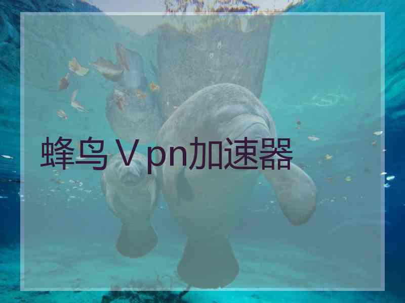蜂鸟Ⅴpn加速器