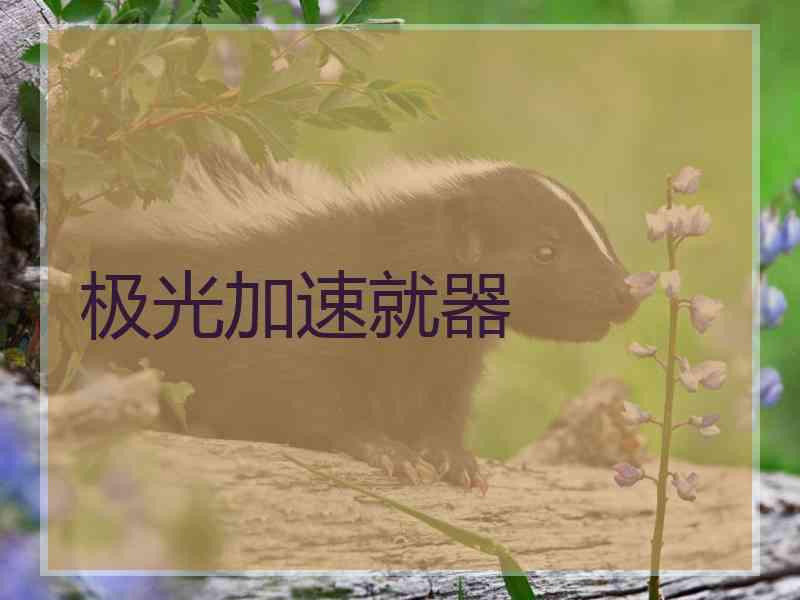 极光加速就器