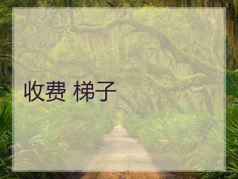 收费 梯子