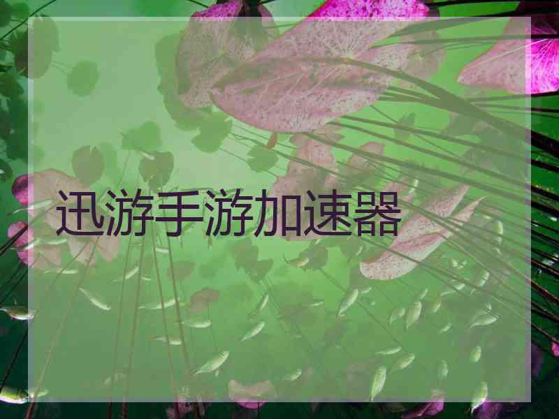 迅游手游加速器