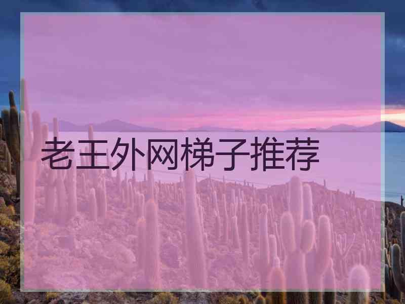 老王外网梯子推荐