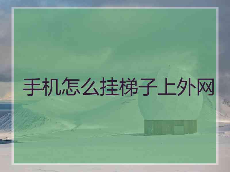 手机怎么挂梯子上外网