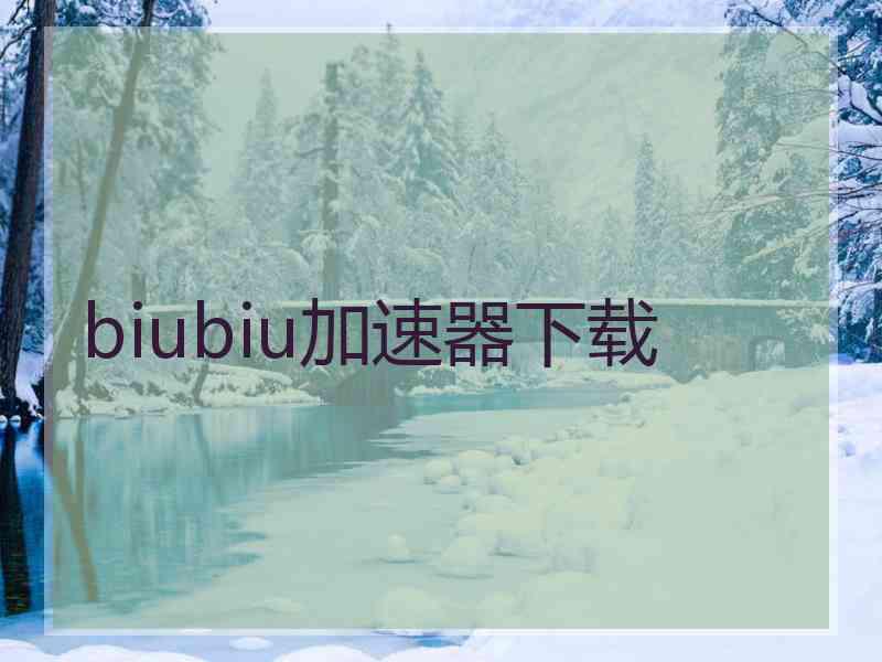 biubiu加速器下载