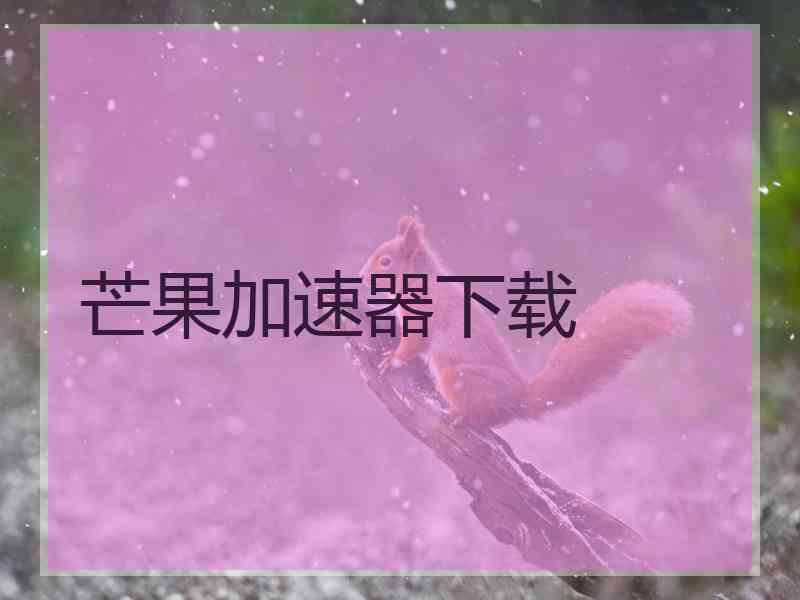 芒果加速器下载