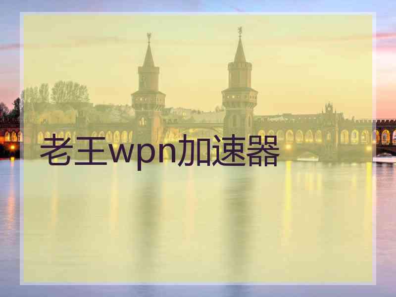 老王wpn加速器