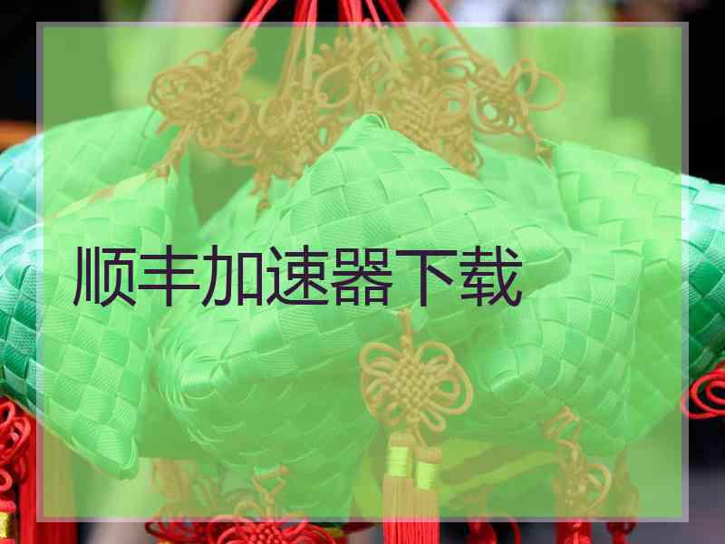 顺丰加速器下载