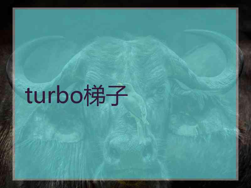 turbo梯子