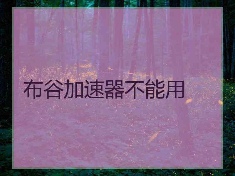布谷加速器不能用