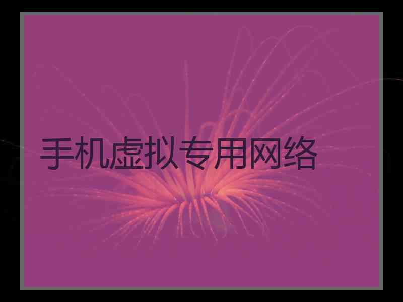 手机虚拟专用网络