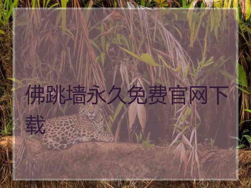 佛跳墙永久免费官网下载