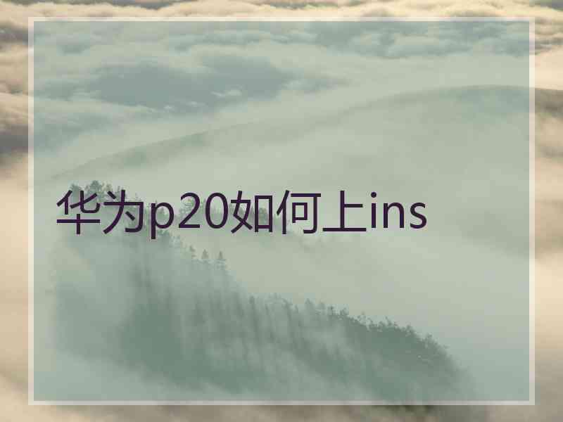 华为p20如何上ins