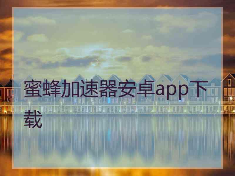 蜜蜂加速器安卓app下载