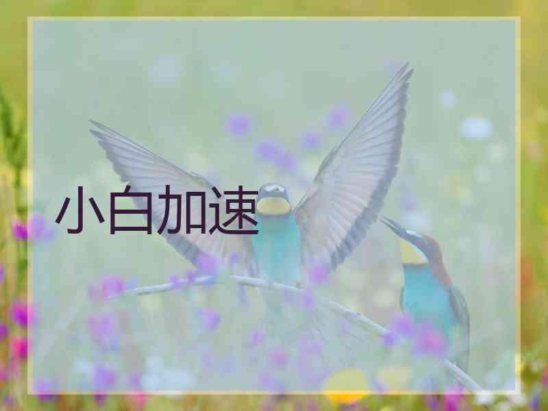 小白加速