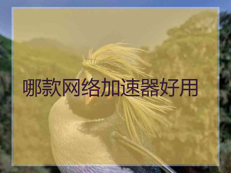 哪款网络加速器好用