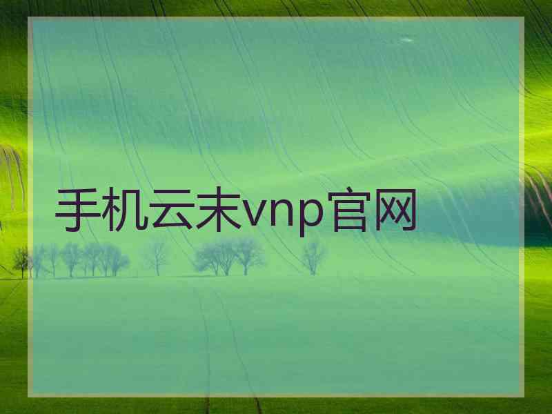 手机云末vnp官网