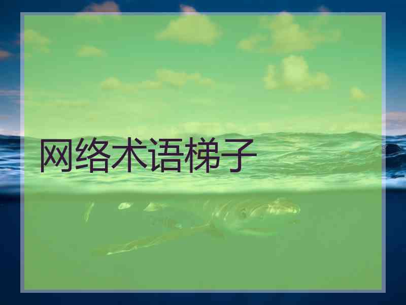 网络术语梯子