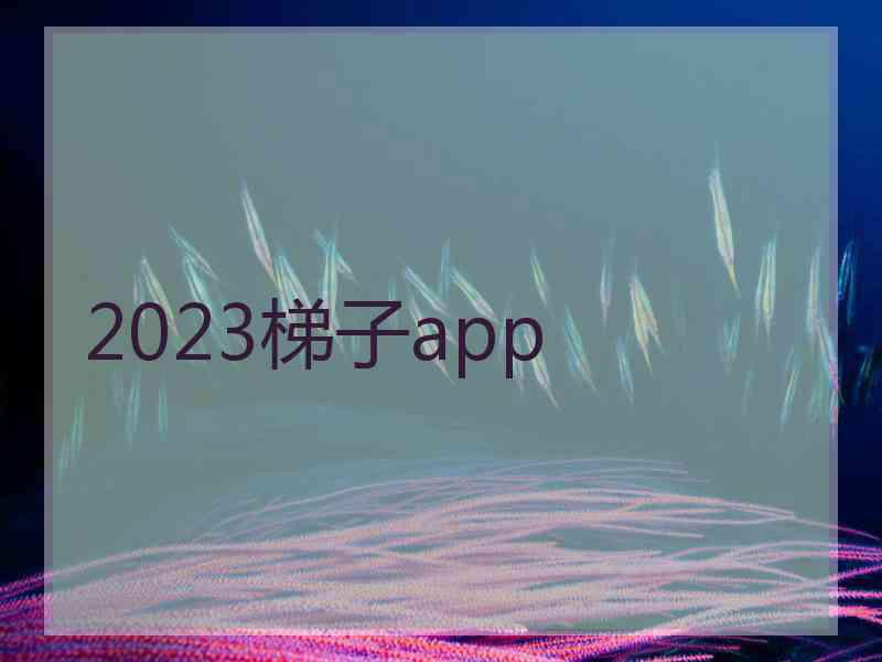2023梯子app
