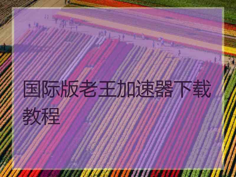 国际版老王加速器下载教程