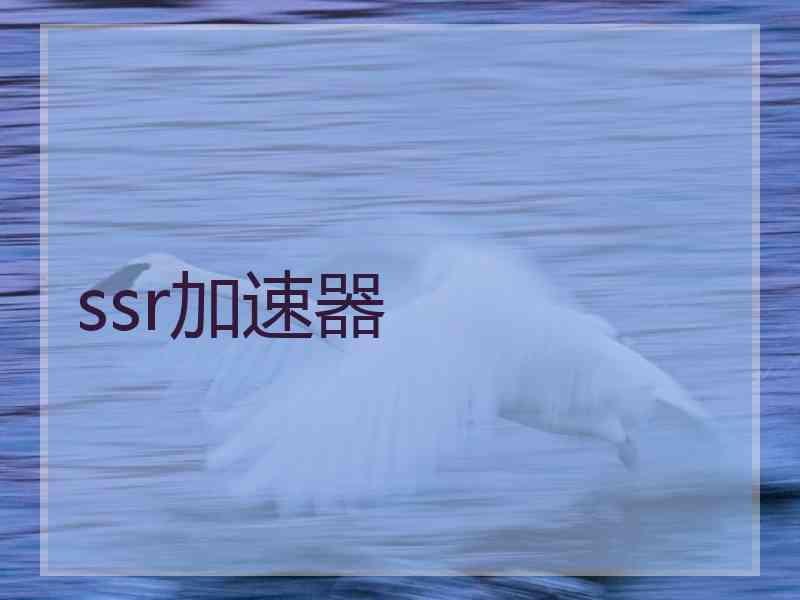 ssr加速器