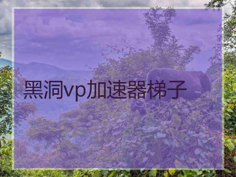 黑洞vp加速器梯子