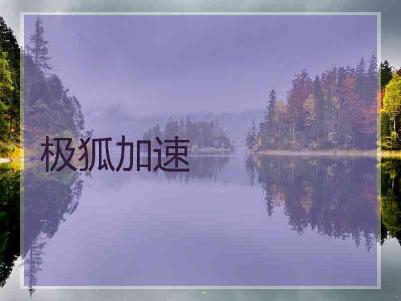极狐加速