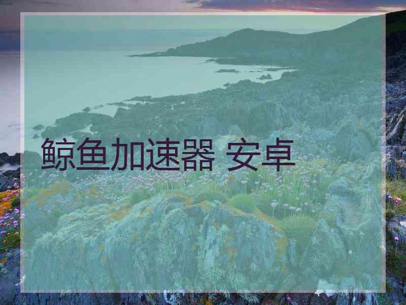 鲸鱼加速器 安卓