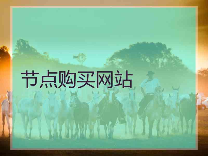节点购买网站