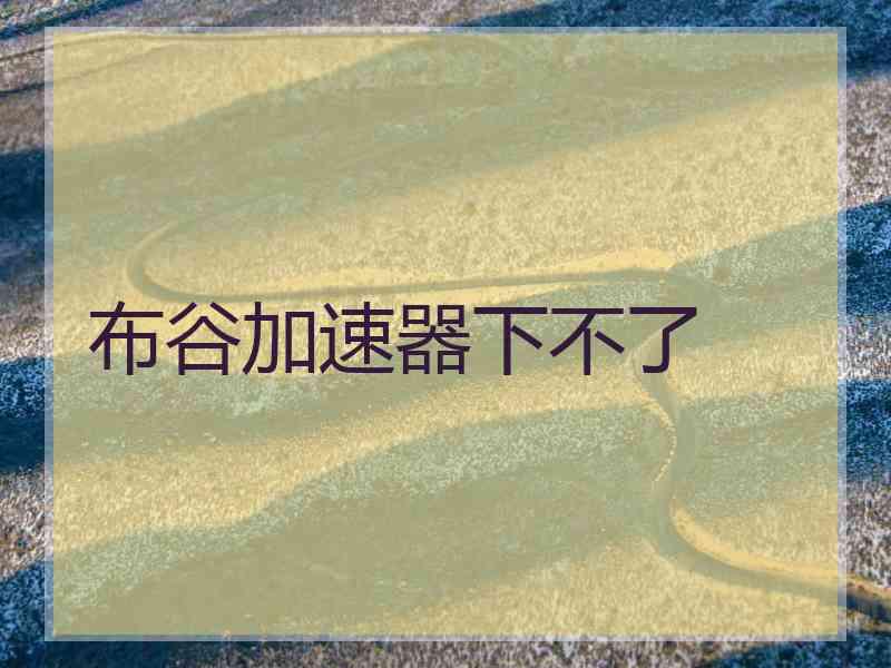 布谷加速器下不了
