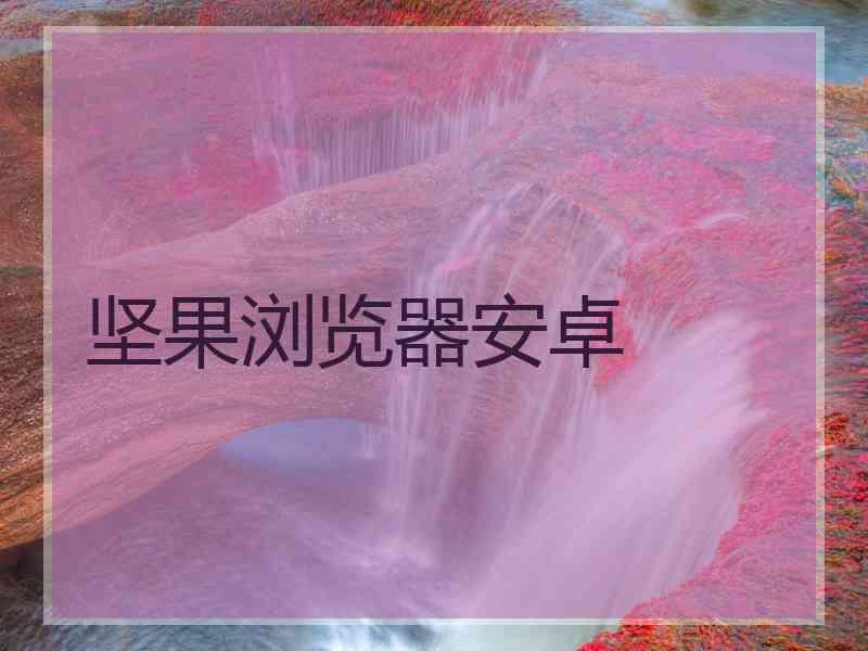 坚果浏览器安卓