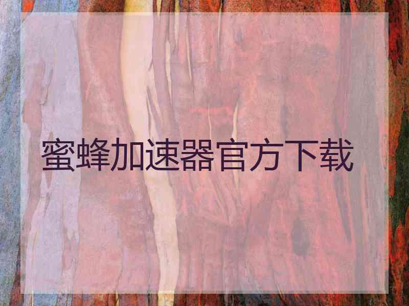 蜜蜂加速器官方下载
