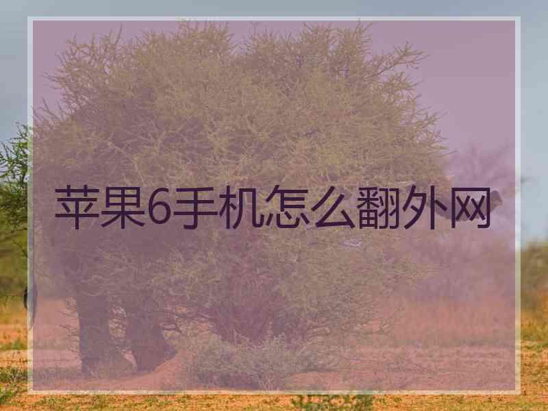 苹果6手机怎么翻外网