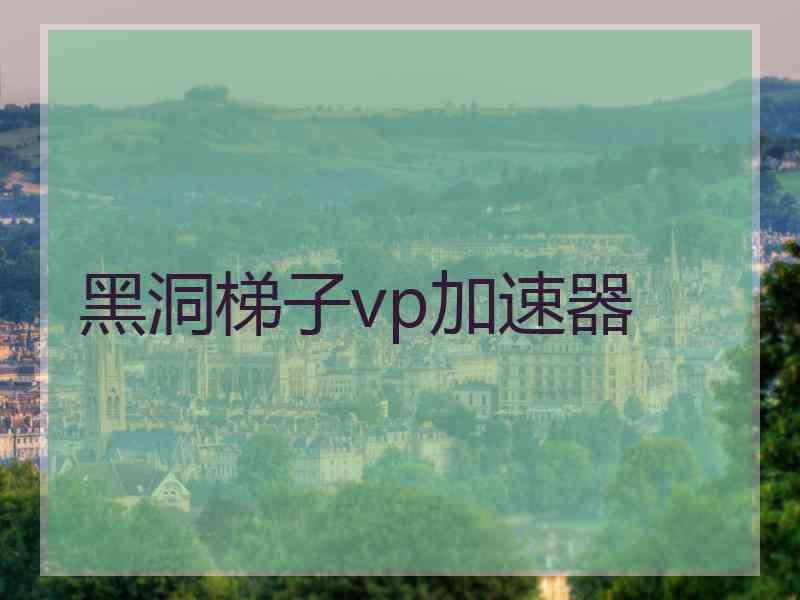 黑洞梯子vp加速器