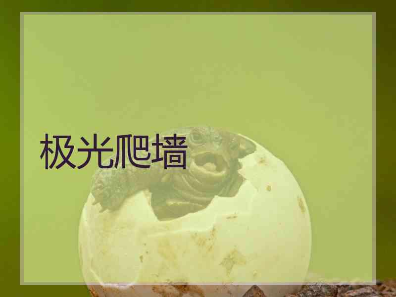 极光爬墙