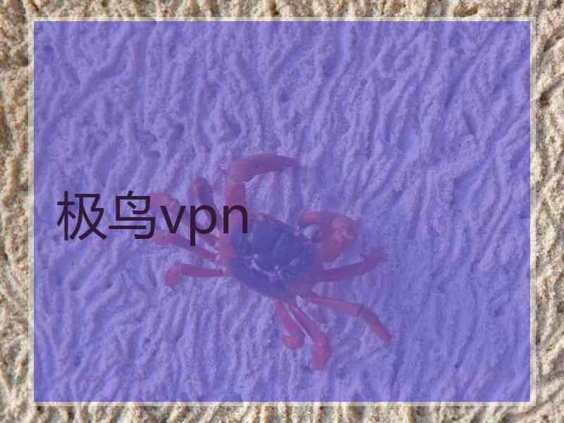极鸟vpn