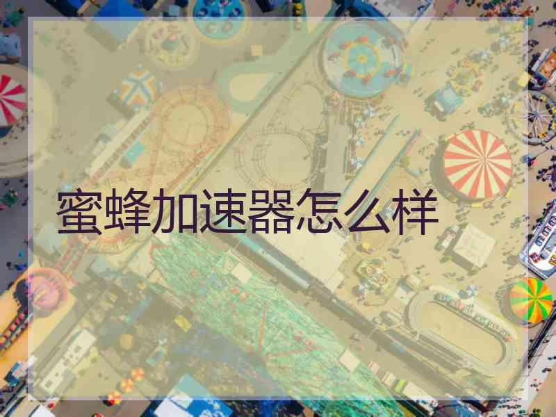 蜜蜂加速器怎么样