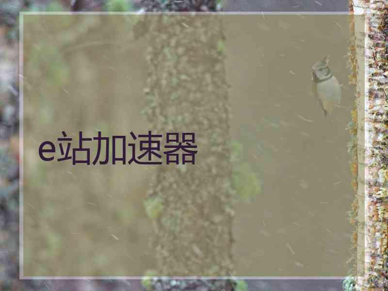e站加速器