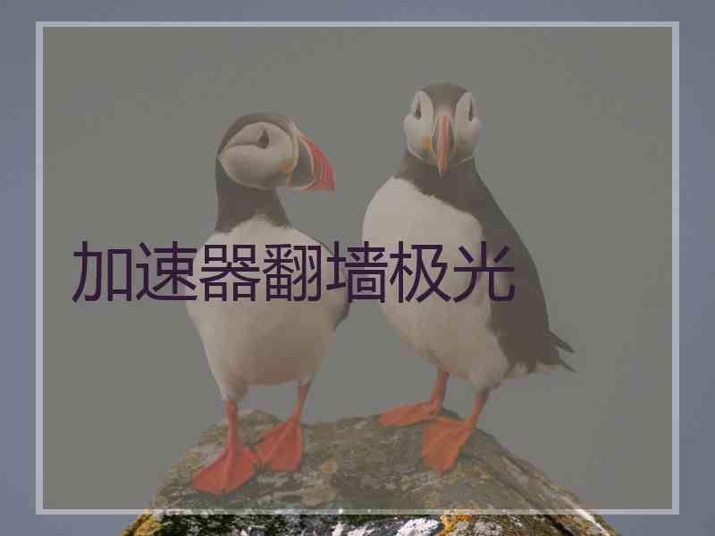加速器翻墙极光