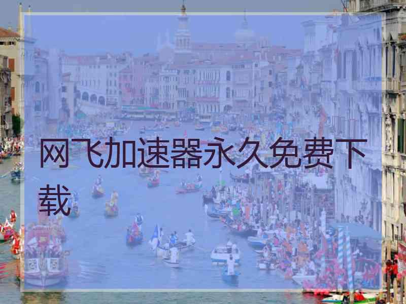 网飞加速器永久免费下载