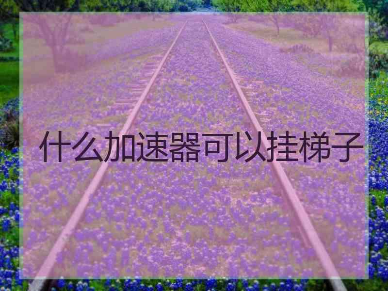 什么加速器可以挂梯子
