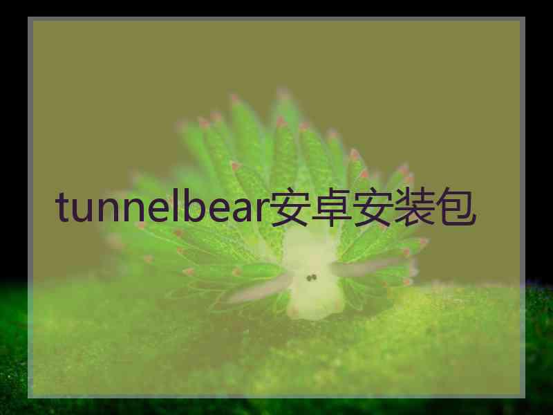tunnelbear安卓安装包