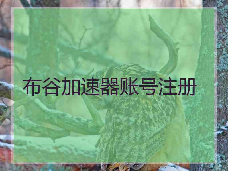 布谷加速器账号注册