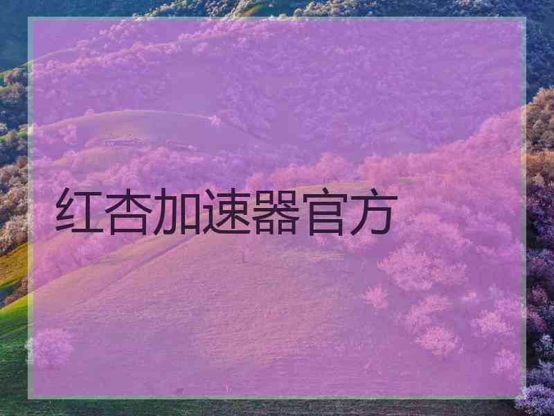 红杏加速器官方