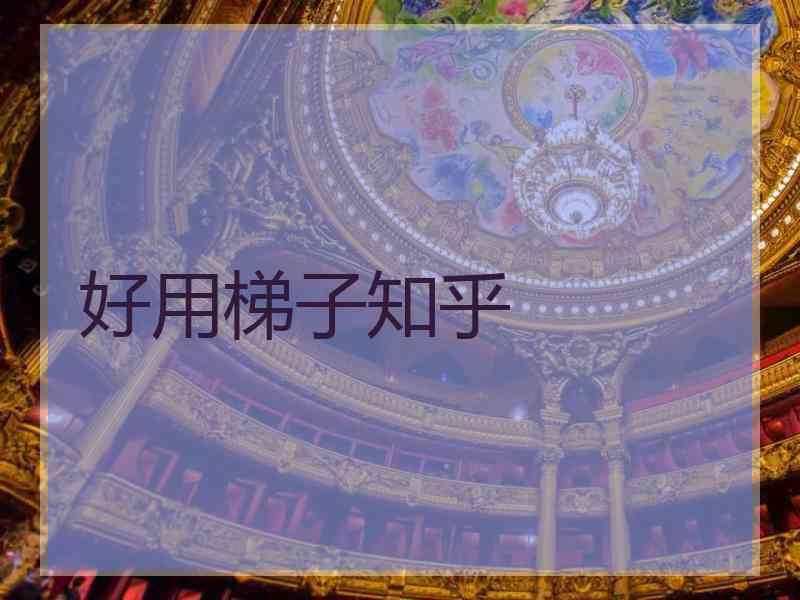 好用梯子知乎