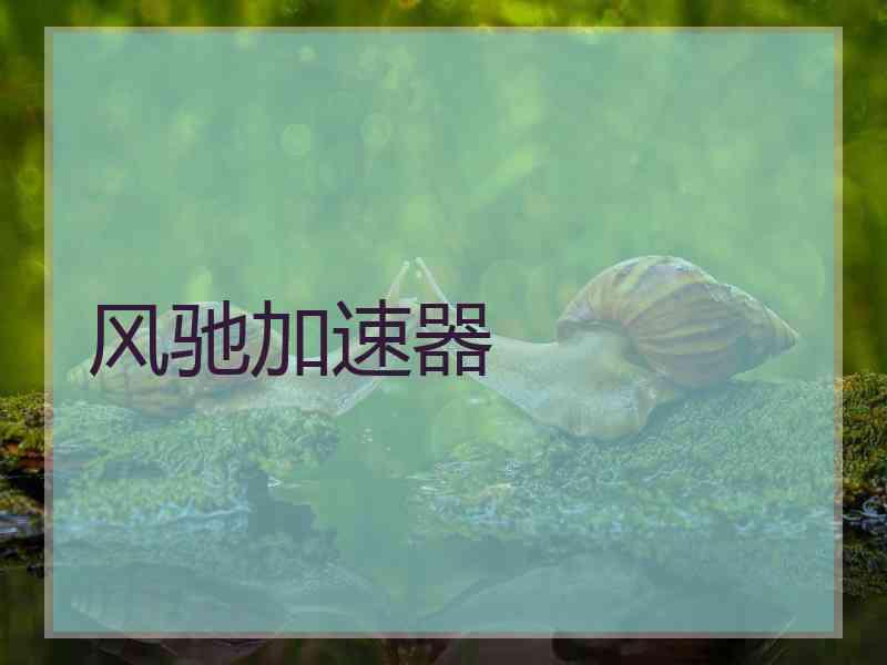 风驰加速器