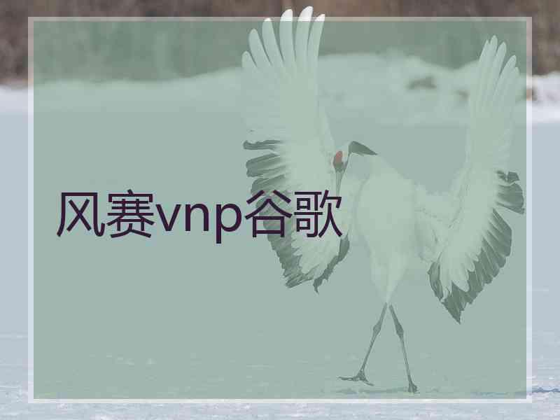 风赛vnp谷歌