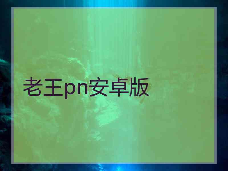 老王pn安卓版