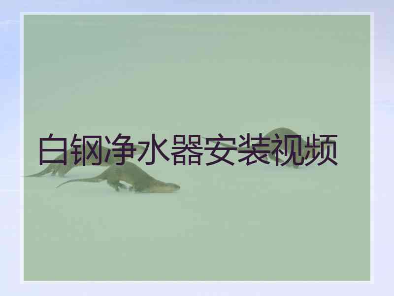 白钢净水器安装视频