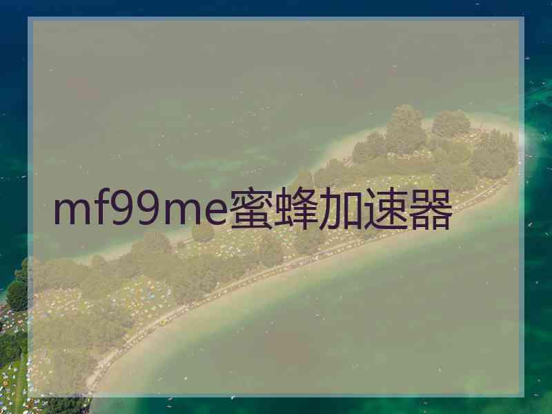 mf99me蜜蜂加速器