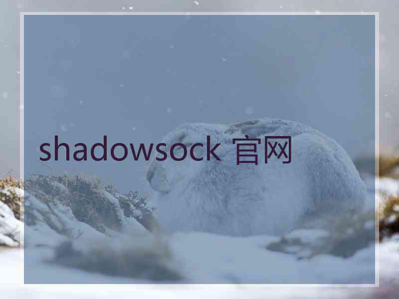 shadowsock 官网